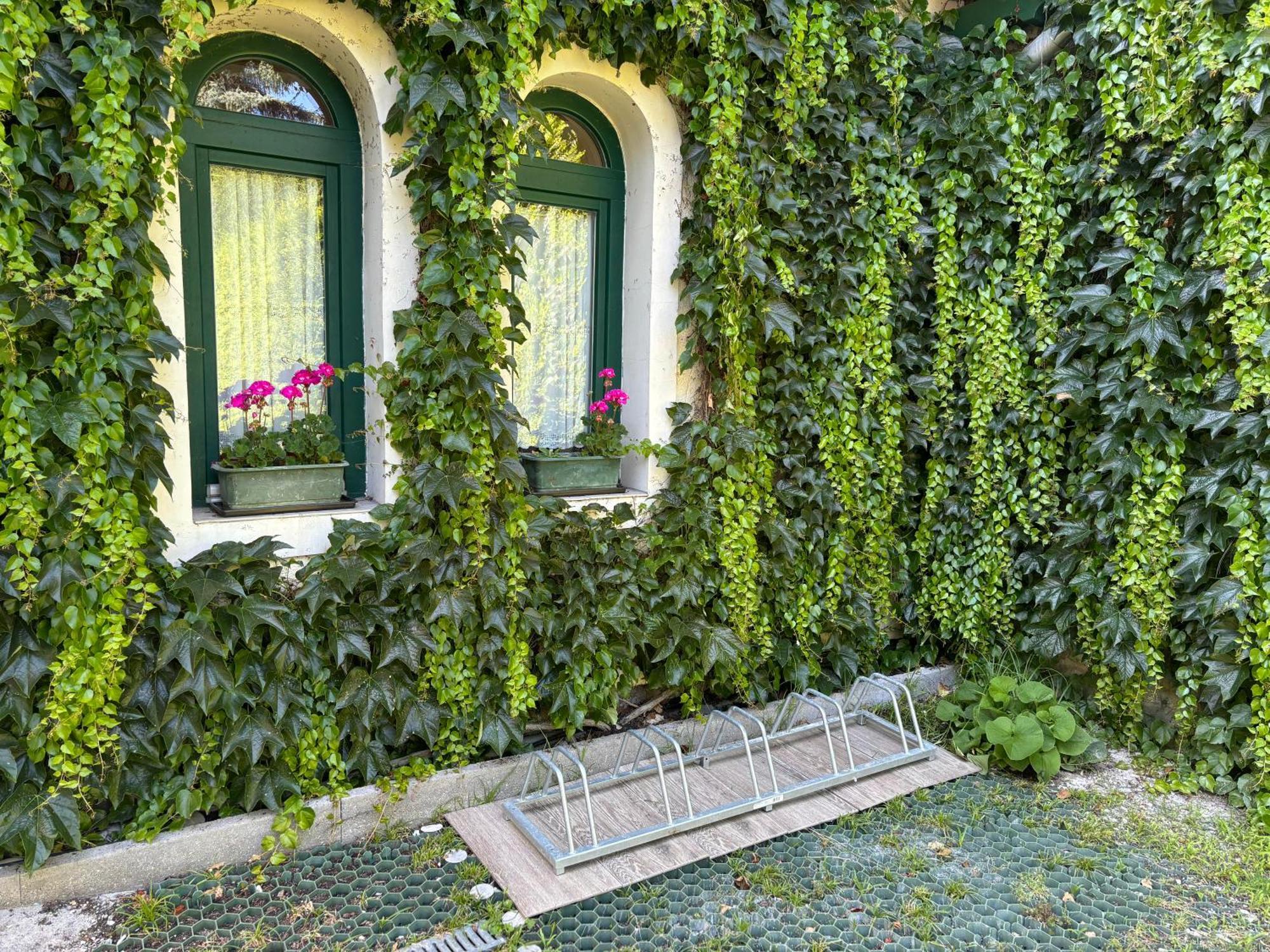 Szalay Villa Veszprém Exteriér fotografie
